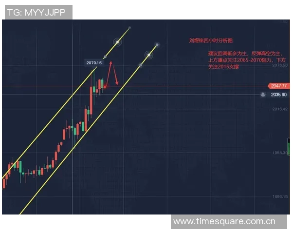 独家解析：WE力量对比背后的深层影响与未来趋势探讨